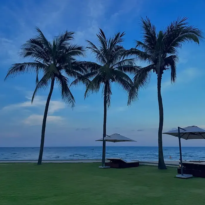 자꾸만 떠나버리고 싶은 여름 instagrm for _2senni (feat.다낭)