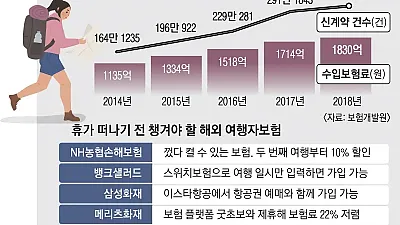 해외 여행자 보험 사용 설명서