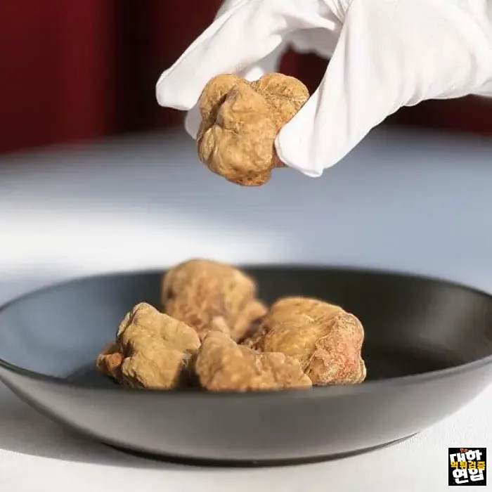 트러플 레스토랑 Truffle Restaurant