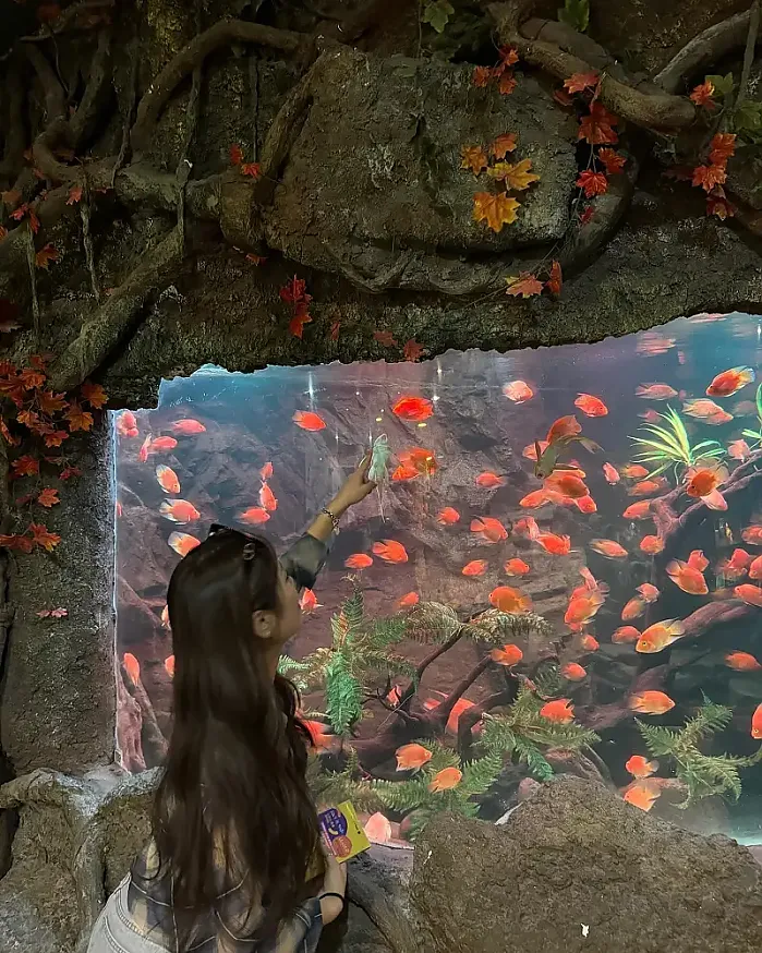 사계절 수속성 @9xng.y 인스타