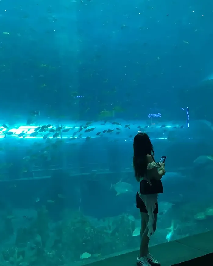 지금은 더 밝아 instagram for fcjiras