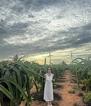 베트남 투어 찾다 우연히 왔는데 넘 예쁘셔서용 instagram for hyo_ohhh