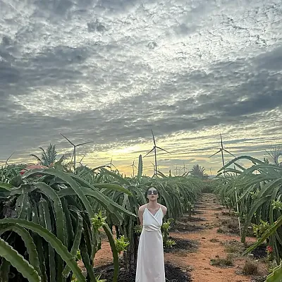 베트남 투어 찾다 우연히 왔는데 넘 예쁘셔서용 instagram for hyo_ohhh