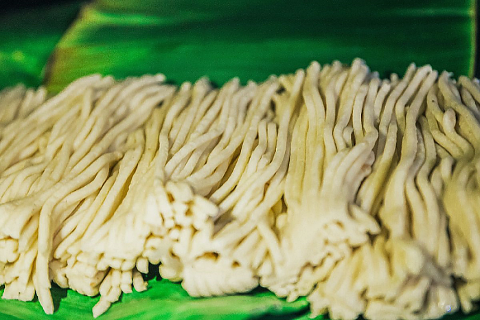 Cao Lầu 국수를 처음부터 만드는 Hội An 가족을 만나보세요