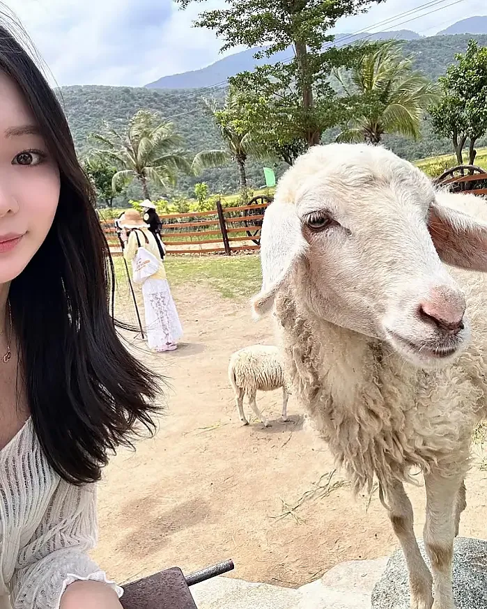 엄마 모시고 온 나트랑 3박 비행 instagram for minxeox_